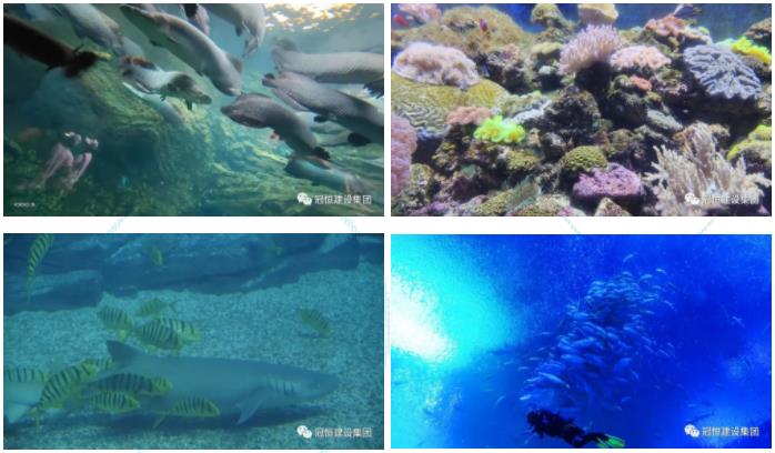 ʱ⡤ͬͬСʢֽ輯麣ȼ֮